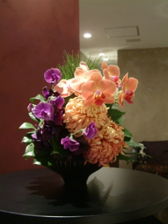 摜(240x320)Eg摜(263x350)