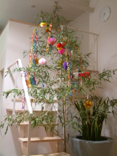 摜(240x320)Eg摜(263x350)