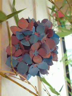 摜(240x320)Eg摜(263x350)