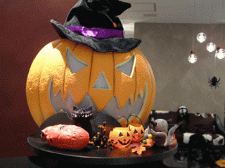 画像(320x240)・拡大画像(350x263)