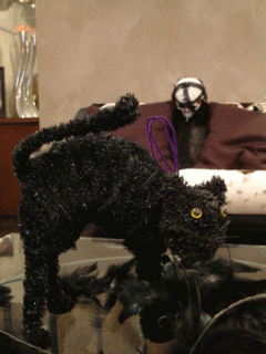 画像(240x320)・拡大画像(263x350)