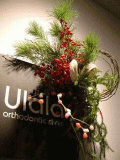 �摜(240x320)�E�g��摜(263x350)