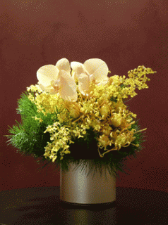 �摜(238x320)�E�g��摜(261x350)