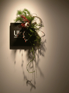 �摜(238x320)�E�g��摜(261x350)